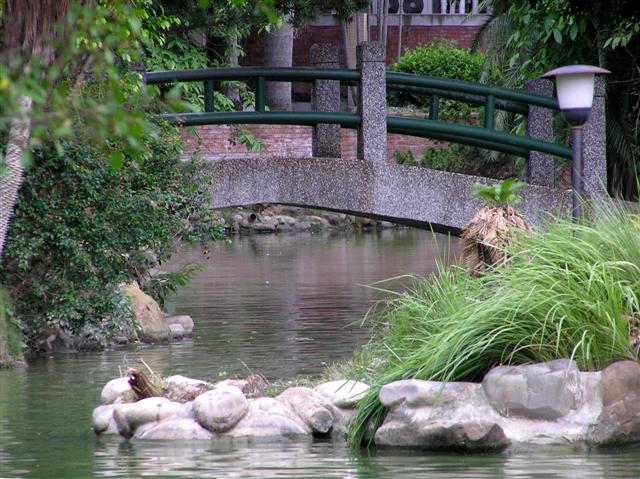 Bridge across a pond